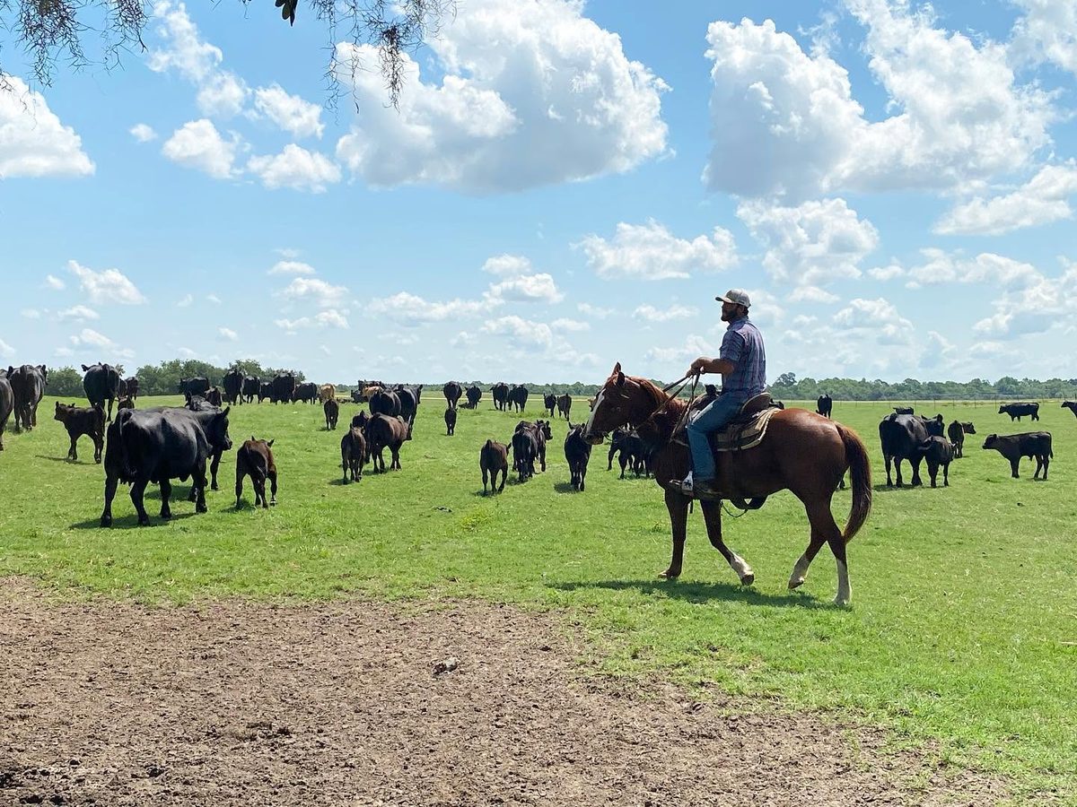 Family farm pasture